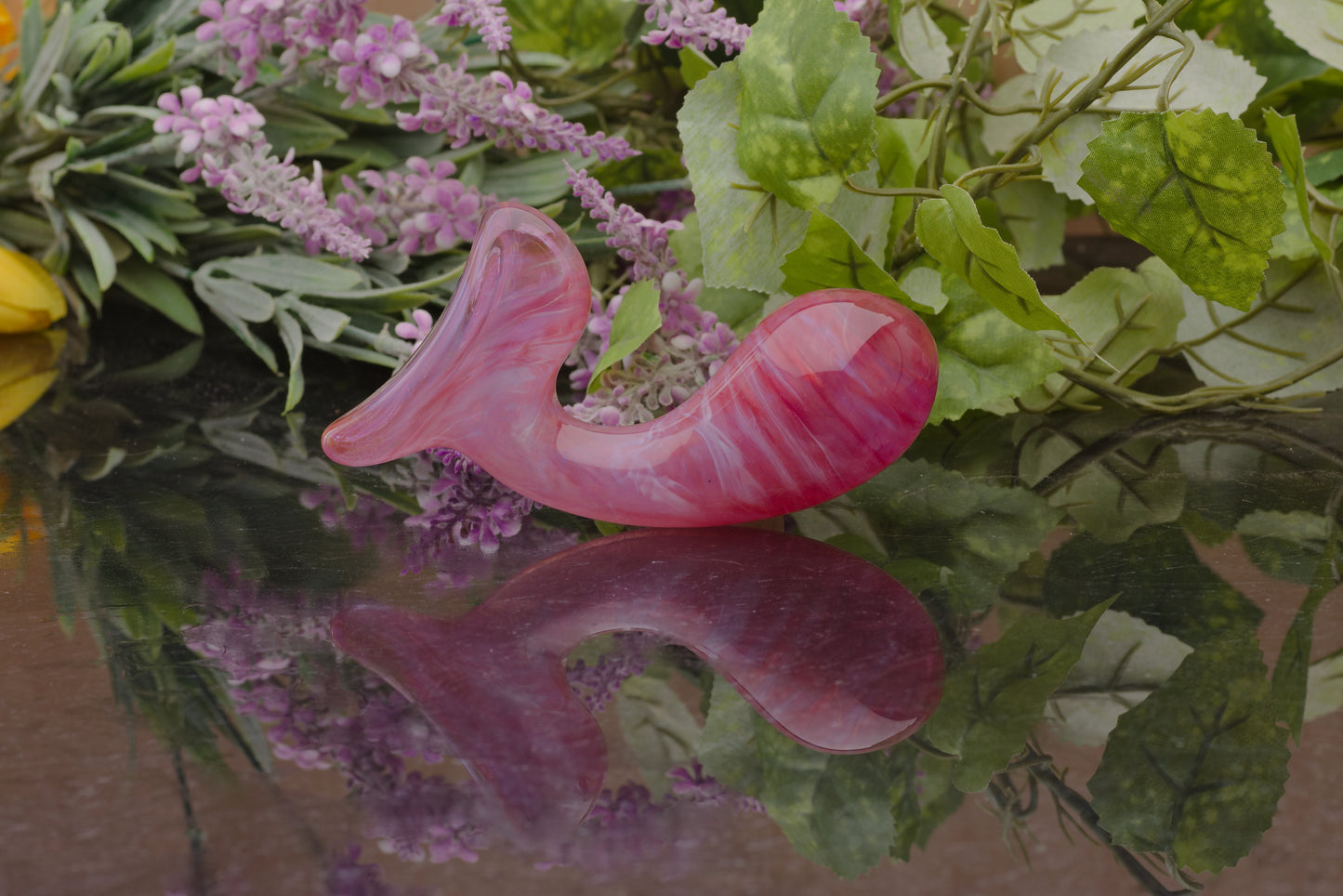 Fuchsia Song